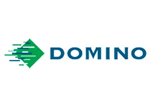Domino logo