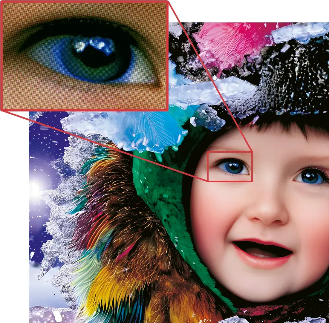 Flexo Front End Edition Quartz